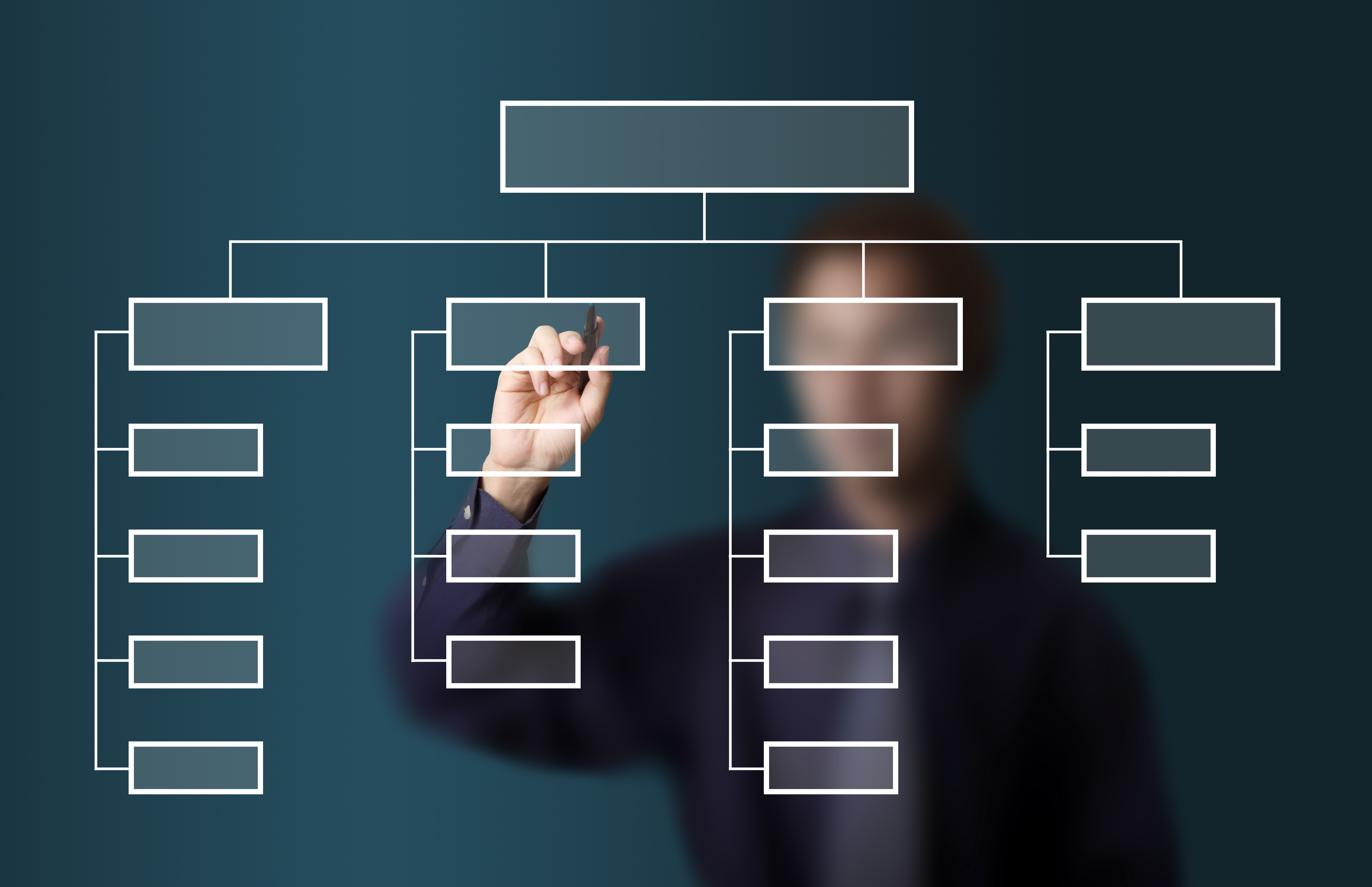 Campaign Structure